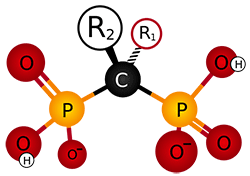 image courtesy: Adenosine (Own work) [CC BY-SA 3.0], via Wikimedia Commons