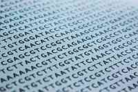 Sekvence DNA. Ilustrační foto. Zdroj: stock.xchng