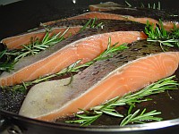 Losos - zdroj omega-3 mastných kyselin - ilustrační foto. Zdroj: stock.xchng